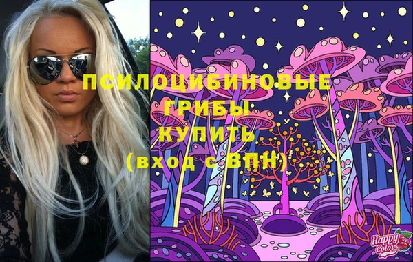 винт Осташков