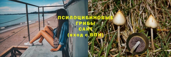винт Осташков