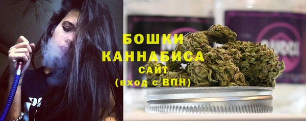 дмт Осинники