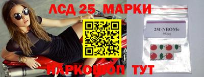 mdpv Гатчина