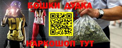 mdpv Гатчина