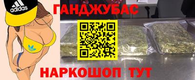 mdpv Гатчина