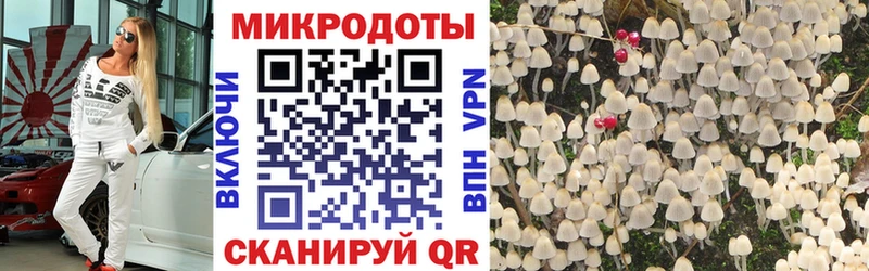 KRAKEN ТОР  Ижевск  Галлюциногенные грибы MAGIC MUSHROOMS 