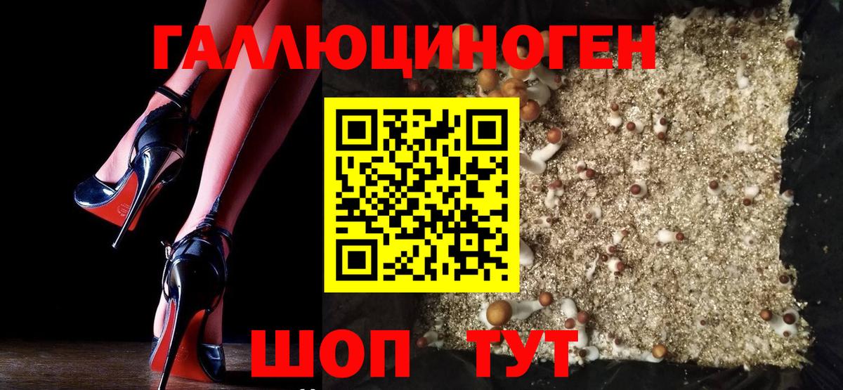 Галлюциногенные грибы Magic Shrooms Ижевск