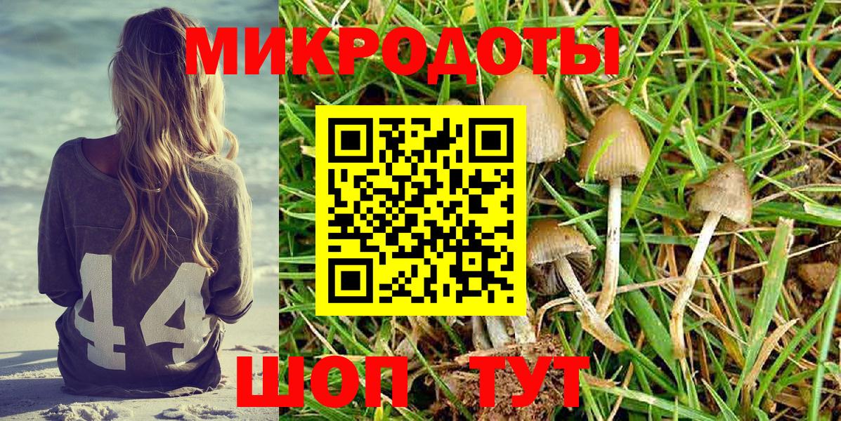 Псилоцибиновые грибы GOLDEN TEACHER Ижевск