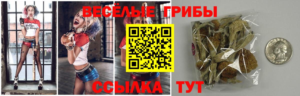 Галлюциногенные грибы ЛСД  Галлюциногенные грибы Magic Shrooms  Ижевск 
